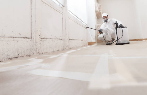 24/7 Emergency Mold Removal experts in Dornsife, PA